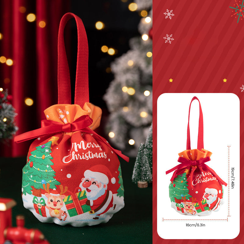 Christmas Apple Gift Bag