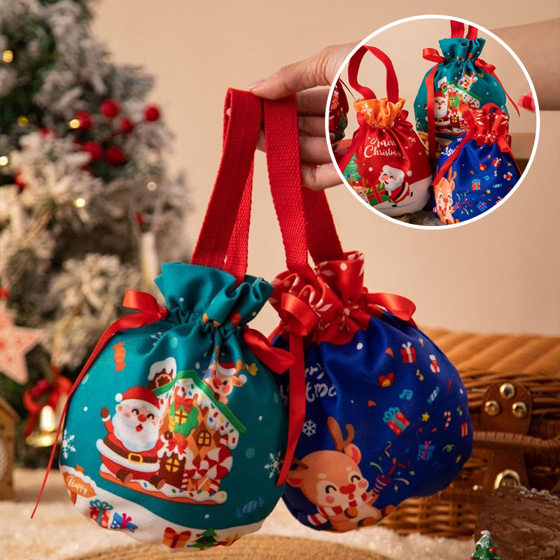 Christmas Apple Gift Bag