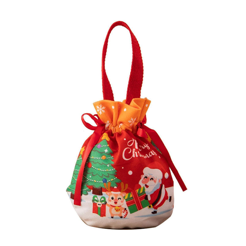 Christmas Apple Gift Bag